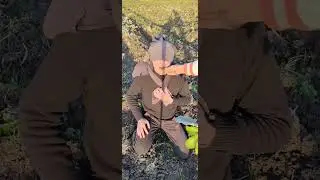 التعرف علي النباتات 