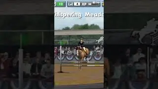 Good job beauty | game name: My horse