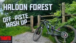 Haldon Forest's Best Bits - Off-Piste & Avoiding The Crowds!