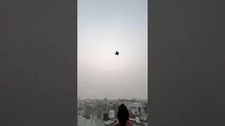 Kite flying speed check 💥🔥🎉💀❤️🩷🩷😍🤩