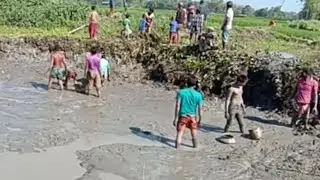Best Amazaing  hand Catching  Fish Video 2020।