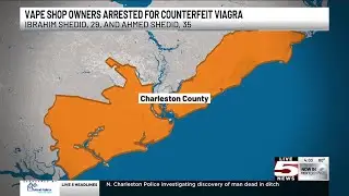 VIDEO: Summerville siblings plead guilty to charges in $35M fake Viagra plot