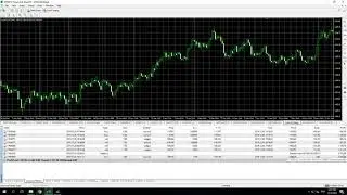 100% к 30000$ c 12/11/19 (3 недели)