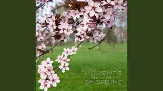 Mgnovenia: 17 Moments of Spring