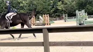 RRP 2026 App- Flat Video
