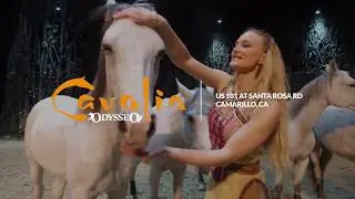 Cavalia in Camarillo - Discover our 4-legged stars