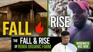 Ruwa Organic Farm lost over $40000 | Listen before you relocate!