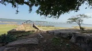 Exploring Pocharam Wildlife Sanctuary & Lake | Hyderabad to Medak Road Trip Ep.4 #hyderabad #