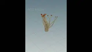 Flower bloom HIP #houdini #techart #technicalart #breakdown #sidefx #3dart #3dartist #sidefxhoudini