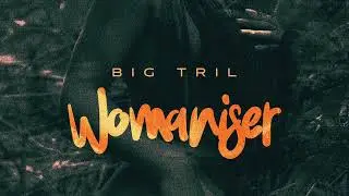 BIGTRIL - WOMANIZER OFFICIAL AUDIO