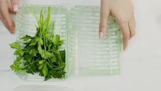 OXO GreenSaver Herb Keepers