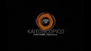 Digital Colorist and Davinci Resolve | Kaitoscopico.com