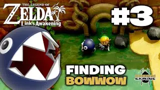 Finding BowWow & the Entrance to the Bottle Grotto - Zelda: Links Awakening Part 3 | Nintendo Switch