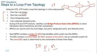 Spanning Tree Protocol (STP) شرح