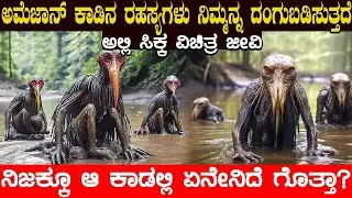 ಅಮೆಜಾನ್ ಕಾಡಿನಲ್ಲಿ ಸಿಕ್ಕ ವಿಚಿತ್ರ ಜೀವಿ..! ನಿಜಕ್ಕೂ ಆ ಕಾಡಿನಲ್ಲಿ ಏನೇನಿದೆ ಗೊತ್ತಾ?