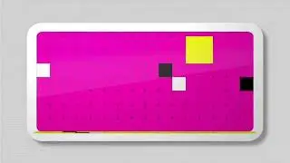 CN FLASH | CHECK it 1.0 | Flip Bumper 