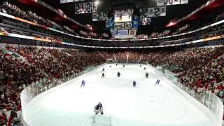 3D Animation - USA Hockey Rink