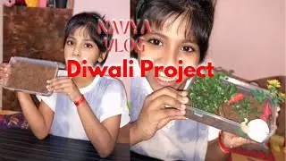 🌿 Amazing Ecosystem Model Project | School Science Project | DIY Ecosystem in a Box..
