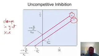 Chapter 11 - Uncompetitive Inhibition