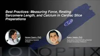 Best Practices - Measuring Force, Resting Sarcomere Length, and Calcium in Cardiac Slices
