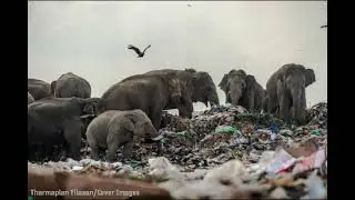 Social Justice Issue: Climate Change