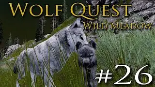 The Hidden NEWBORNS of Spring?! 🐺 WOLF QUEST: WILD MEADOW • #26