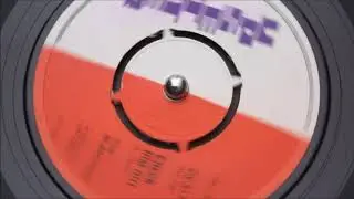 The Bleechers - Check Him Out - Upsetter : USA 317 (45s)