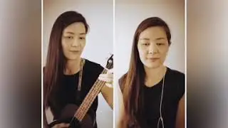 House of the Rising Sun, The Animals version, ukulele cover