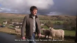 Wool Innovation at Kilnsey Park | Innovate UK Success Story | April 2025