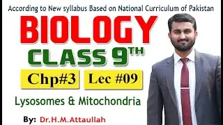 Lysosomes and Mitochondria  | New Syllabus Biology 9th Class |Chapter 03 | Lecture 09