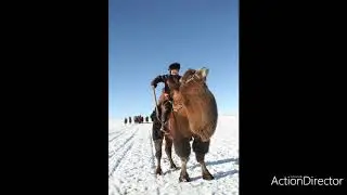 Losol Boldbaatar- Botgon nulimas