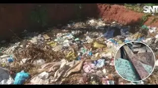 Denuncian contaminación y plaga de moscas en Caazapá