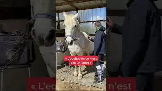 spoiler : il a chang&eacute; d&rsquo;avis #humour #cheval #equitation #galop