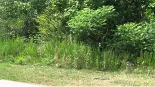 Lot 22 Pepper Court, Seneca, SC 29678