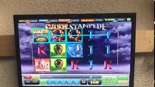 T4 Sweepstakes Cash Stampede