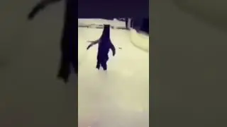 ogiz ocharga 5 minut qoldi