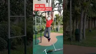 FIT SANTA PULLUP PROGRESSION #fitnessfeats #tiktok #tiktokph #christmasworkout #pullupworkout #back