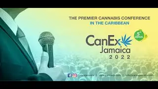 CanEx 2022 - A business conference with vibesy beach parties