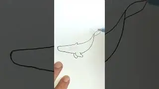 How to Draw Humpback Whale