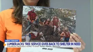 Tree service selling lumber jack calendars to help local animal shelter