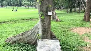 Exploring Agodi Gardens Ibadan Oyo State