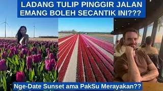 Emang Boleh Ladang Tulip Pinggir Jalan Secantik Ini??? Ada Acara Spesial Apa Nge-Date Sunset??