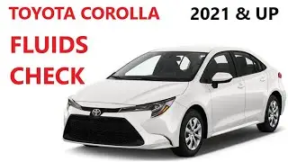 FLUIDS CHECK on TOYOTA COROLLA  2021 2022 2023 2024 2025 2026