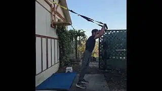 TRX workout instructional 6 basic exercises