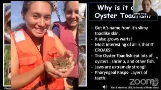 Ocean Adaptations:  Create Your Own Sea Creature!