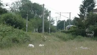 56312 5Z56