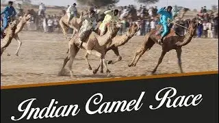 INDIAN CAMEL RACE | DESERT FESTIVAL 2018 JAISALMER | INDIA UNPLUGGED
