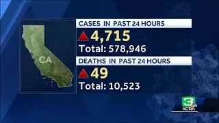 Coronavirus headlines: Aug. 12, 2020