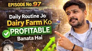 #DAY97 || Our challenge || Dairy Farm Ko Profit Me Laane Wali Daily Routine || Struggler Bande