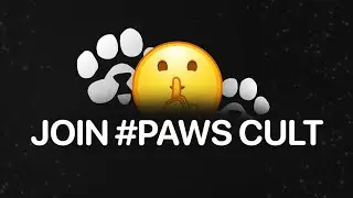 PAWS Airdrop is Coming | Ton & Dogs support project | @PAWS @DOGS #airdrop